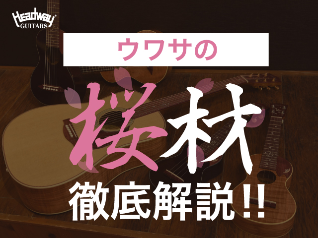1限目 ウワサの桜材 徹底解説
