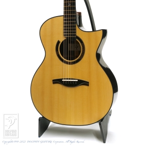 Luca Canteri Guitars 1 GC Standard Cutaway (Zilicote)
