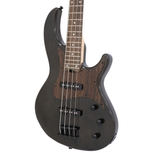 AriaProII RSB-700WP