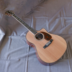 Larrivee Larrivee LV-10 RW