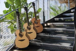 LAG Guitars Hyvibe H2プリアンプシリーズ