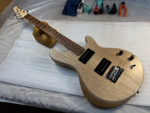 Nishgaki Guitars Amnis Novus - Hiroshi Shibasaki Specs