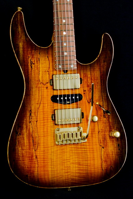 T's Guitars DST-Pro24,Spalted Maple,RFMN(Trans Black Burst)