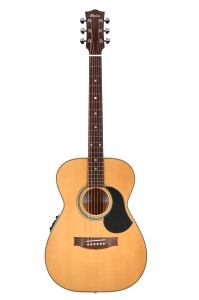 Maton Guitars 80th CW80-808